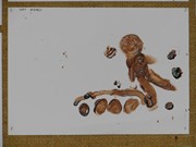 Tvoříme z čokolády